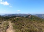 DSC_0206.JPG