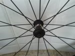 2012-04-03 15.04.56.jpg