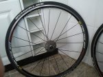 2012-04-03 15.05.32.jpg