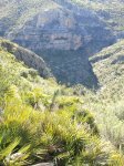 2012-04-08 11.12.25.jpg