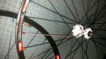 2012-04-10-116.jpg