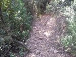 Foto0676.jpg