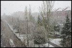 _MG_5322.jpg