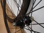 DSC05883.JPG