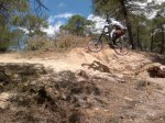2012-04-10-152.jpg
