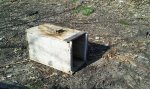 2011-03-07 15.57.13.JPG