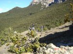 DSC08693 (Copiar).JPG