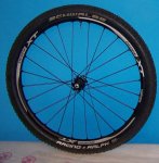 2 - copia - copia.JPG