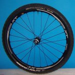 1 - copia - copia.JPG