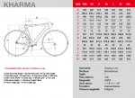 GeomBici44.jpg