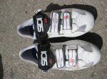 IMG_1917.JPG