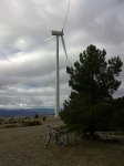 molinos abril-12.jpg