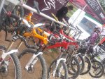 santa-cruz-days-13.JPG