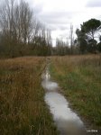DSCN4224.JPG