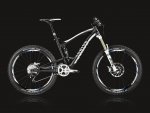 CAnyon Strive.jpg