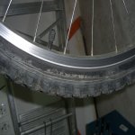 CIMG4809 asdf.jpg