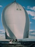 spinnaker1.jpg