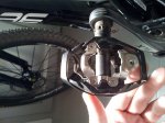 20120409_162449.jpg