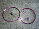 DSC05154.JPG