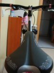 DSC03934.JPG
