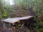 20120414_170344.jpg