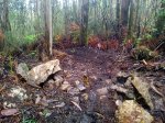 20120414_170723.jpg