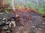 20120414_170802.jpg