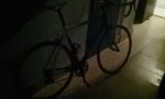 IMAG0218.jpg