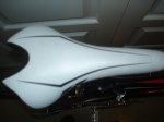 DSC03741.jpg