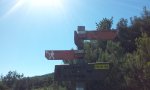 20120409_120913.jpg
