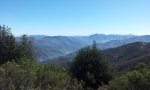 20120409_120943.jpg