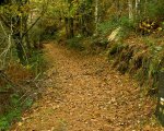 sized_DSC_0079.JPG