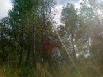 140420121527.jpg