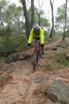 SAM_1627 (Copiar) (Copiar) (Copiar).jpg