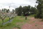 SAM_1634 (Copiar) (Copiar) (Copiar).jpg