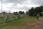 SAM_1636 (Copiar) (Copiar) (Copiar).jpg