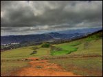 IMG_1868.JPG