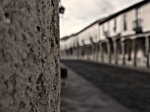 P4140068.jpg