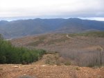 IMG_0959.jpg
