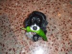 2007_0202buddy0034.JPG