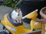 DSC03344.JPG