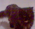 050516_220053.jpg