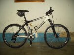 PICT0878.JPG