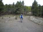 DSCN01500018.JPG