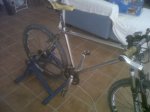 bike1.jpg
