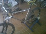 bike2.jpg