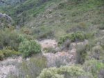 SDC11138.JPG