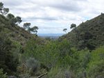 SDC11158.JPG