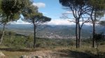 IMG-20120415-WA0003.jpg