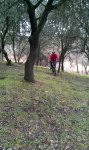 IMAG0286.jpg